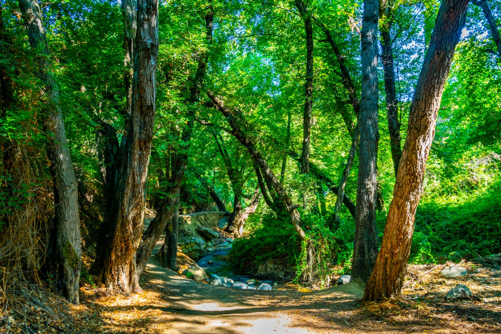 Simila.Cyprus-Hiking.trails